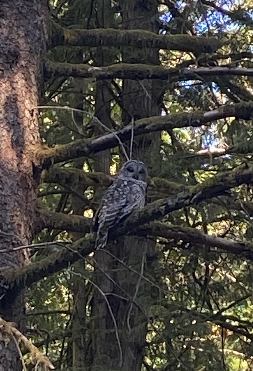 Duncan Stephen tweet media