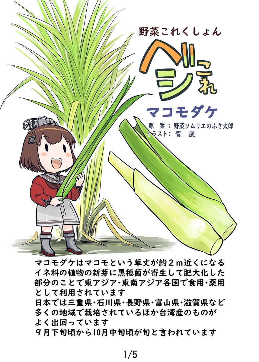 野菜これくしょん ベジこれ 第30弾 マコモダケ編 1/2
今回も野菜ソムリエのふさ太郎さん@yukimifusaとの合作でお送りします。 