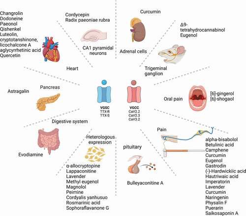 Norbert Weiss tweet media