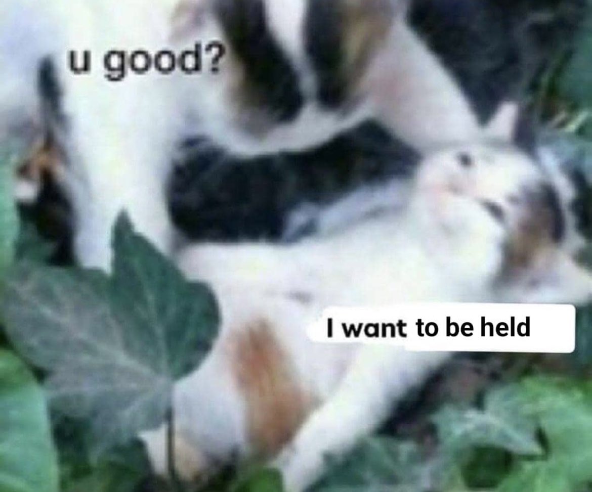 ⋆ (@tristehomo) on Twitter photo 