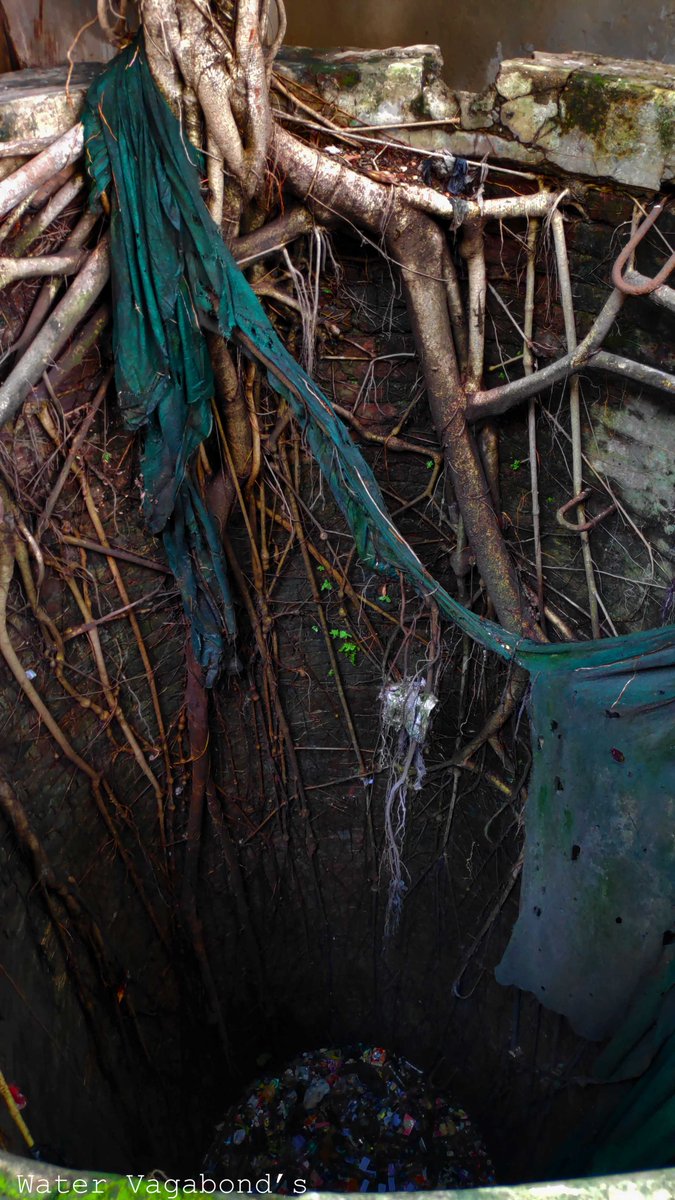 Watervagabond's tweet photo. #Reality
Despite the abandonment, this #dugwell continues to illuminate the society about the basis of life and its fundamentals. But why do we espouse to evade than to engage?
@dc_dhanbad @DDCDhanbad @DhanbadC @purnimaasingh @rajsinhabjp
#Dhanbad #Jharkhand #water #groundwater https://t.co/lUdyePgZqT