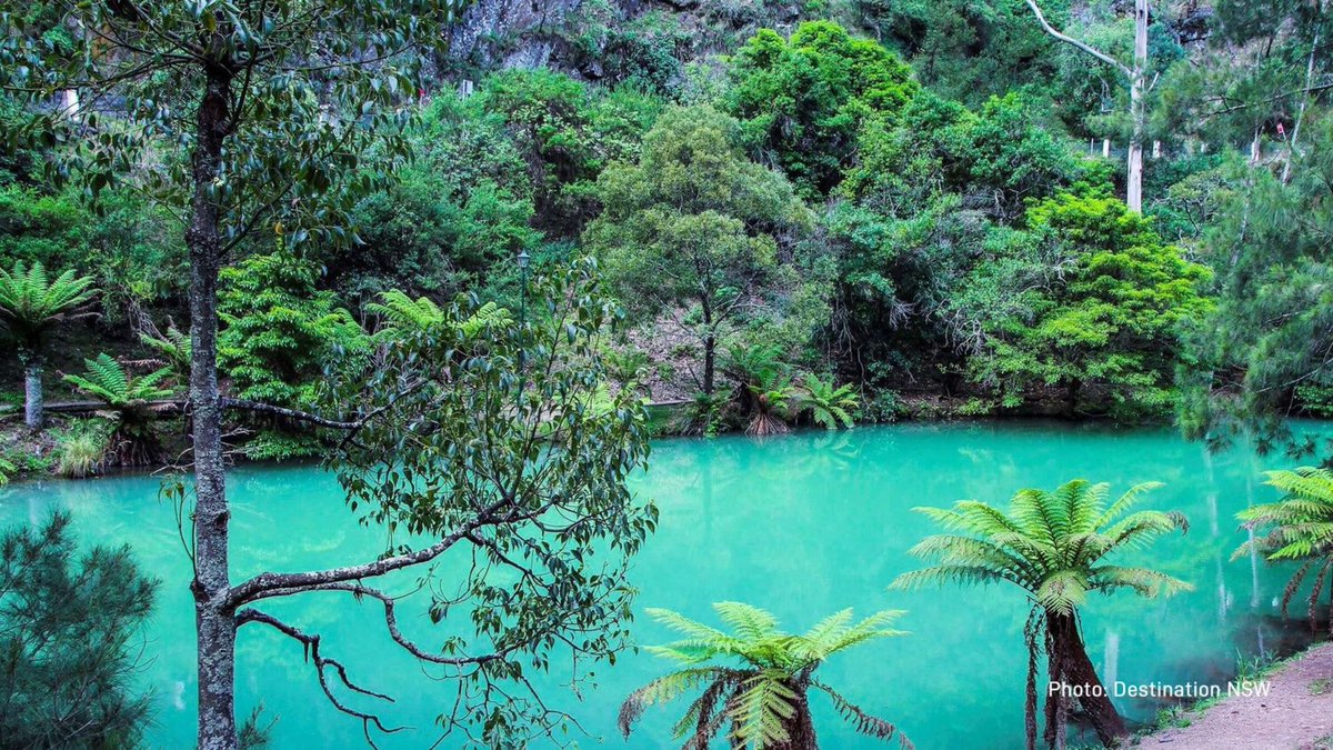 Cycle an iconic Australian destination just a stone’s throw from bustling Sydney.

Blue Mountains Tracks &amp; Trails Cycle Tour → roar.tours/3QjfT1C

#australia #cycling #adventure #sydney #bluemountains #cycle #tour #cycletour #bicycle #touring
