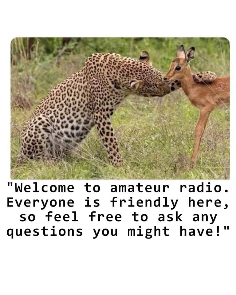 "It's not like we're going to bite your head off or anything like that… So, relax!"

Seriously, even Anti-Ham Radio Wifey is absolutely amazed at how GREAT ham radio operators are. Sure, there are asshole hams EVERYWHERE but 97 and 44/100% of them are genuinely GREAT people!