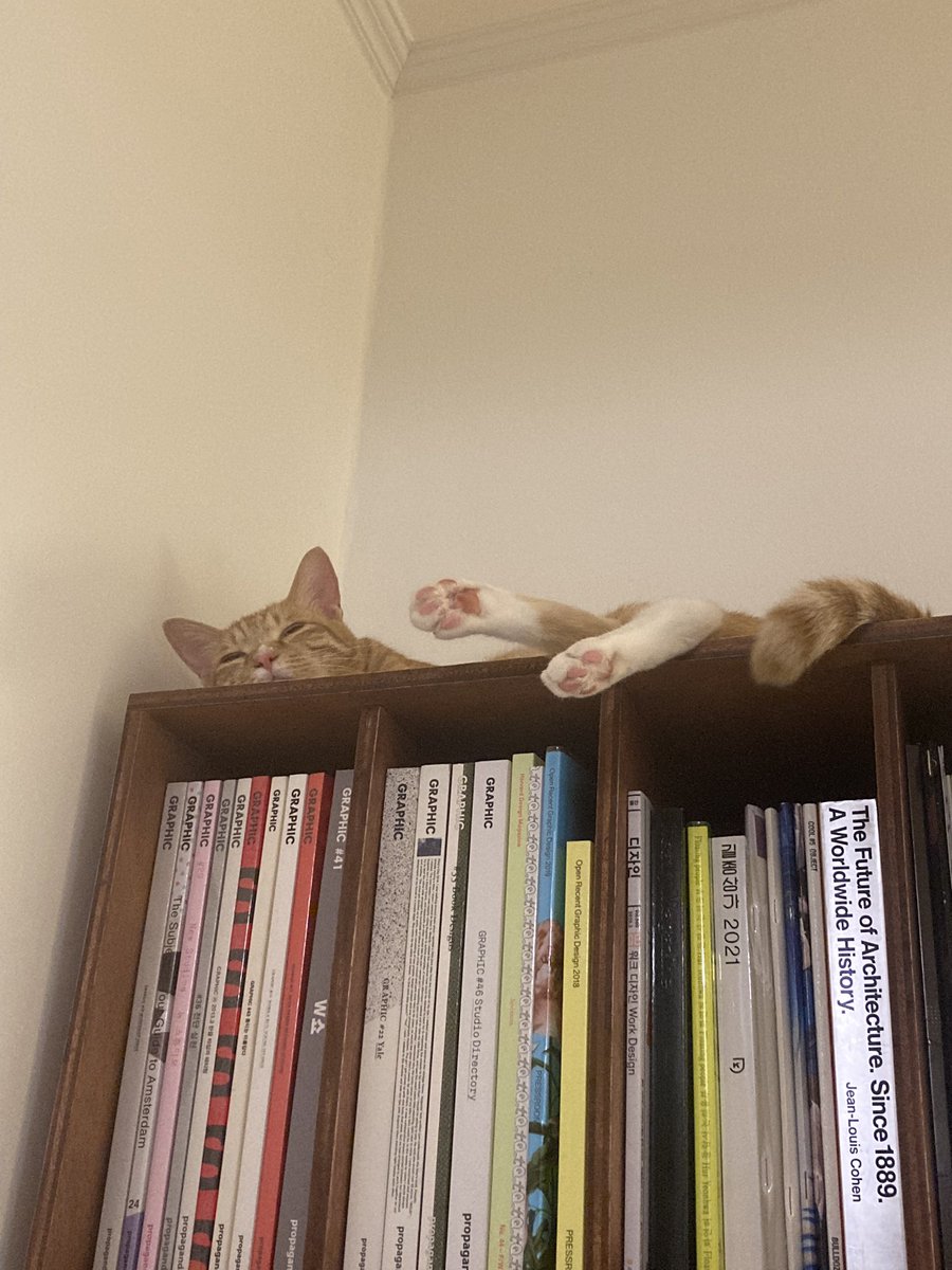 아코 너무너무너무 귀여워서 어떡해 🥹💞