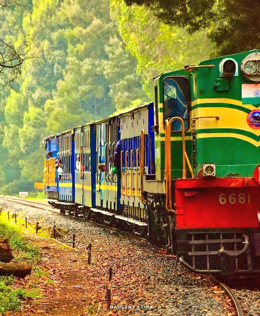 AnanthOnTrack's tweet photo. Today's #railway #photo - the beautiful colours of the train and the pine forests between Coonoor and Ooty on the scenic Nilgiri Mountain Railway, in the jurisdiction of @SalemDRM in @GMSRailway! Pic courtesy, Maheen Fatima! #IndianRailways #trains #photography @SandipGhose https://t.co/hoh4clU8o9