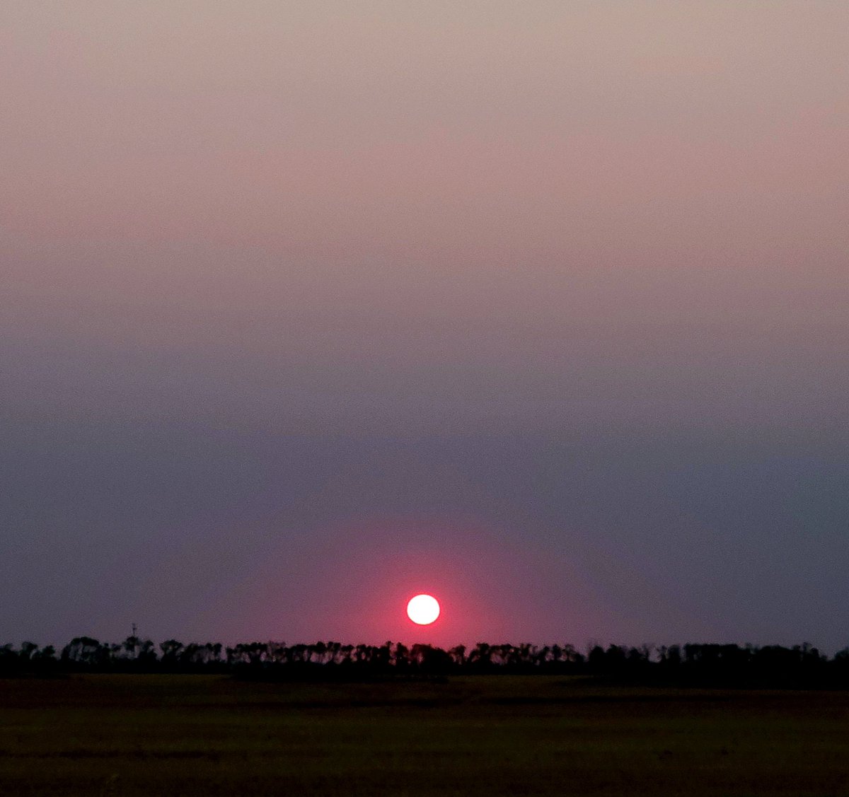 SeilerPhotos's tweet photo. A full-bodied sunset tonight in North Dakota.

#sunset #northdakotasunsets #northdakota #photography #scottseiler #gallery4 #fullbodied #ndlegendary #yesnd  #captured https://t.co/lH2hcP5uUb