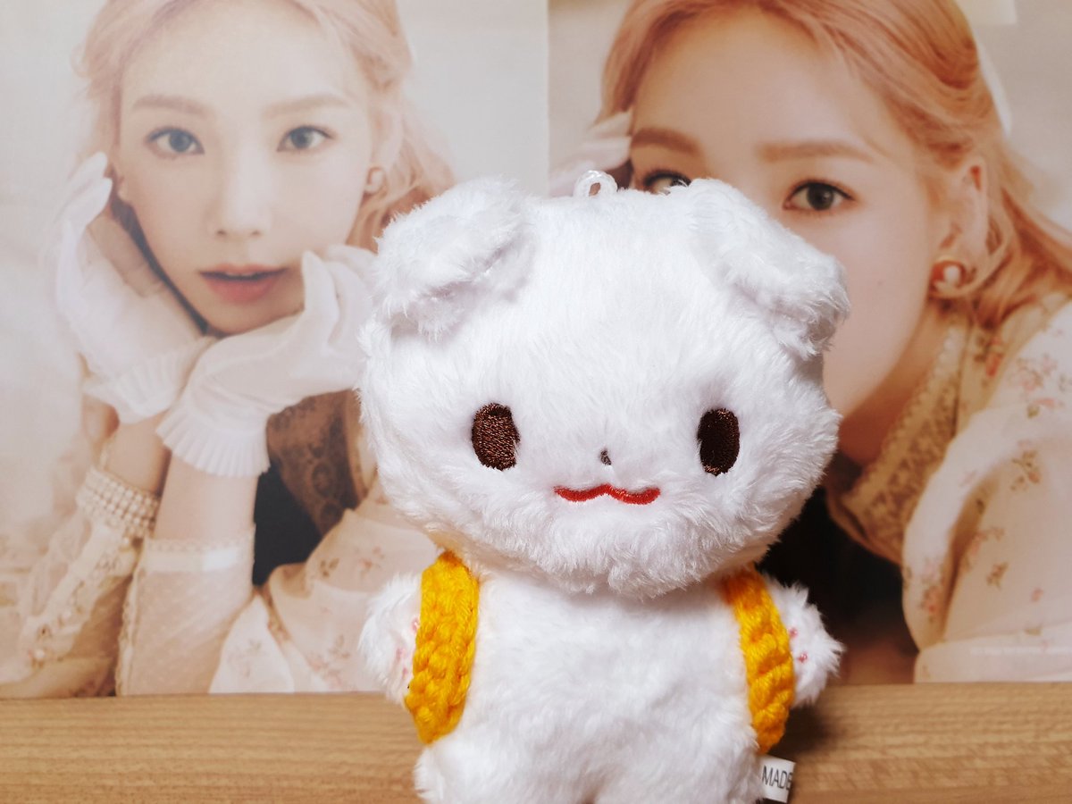TYS2_Sone's tweet photo. 댕구 처음 왔던 날💗
한마리는 아까워서 아직 포장도 못 뜯었어요😆
이거 하려고 계정 만들었다!✨
#함께걷는댕구와_발을맞추고 https://t.co/pt3bJTVFOM