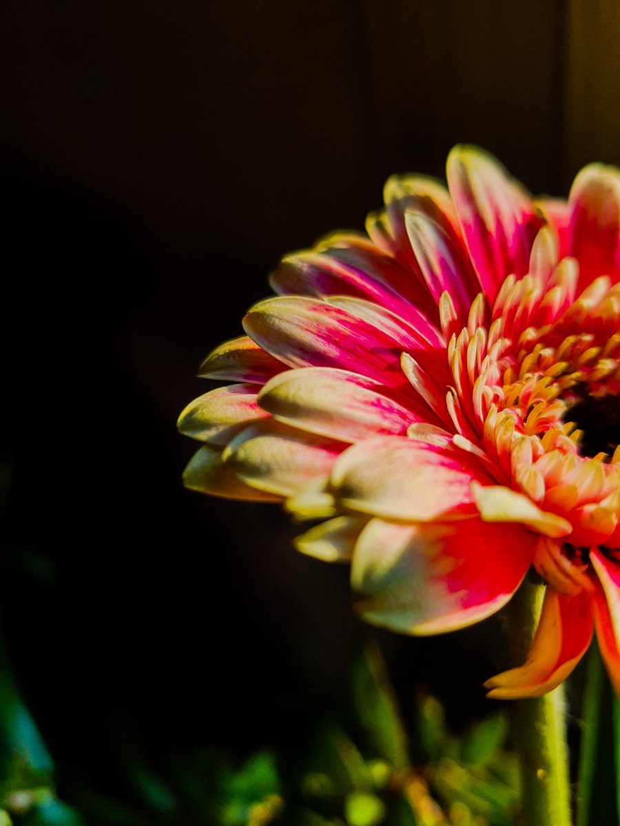 A photo for my Love
❤️❤️❤️
Good morning friends, 
Have a fantastic day ! 
#flower #TwitterNatureCommunity #photography #macro
