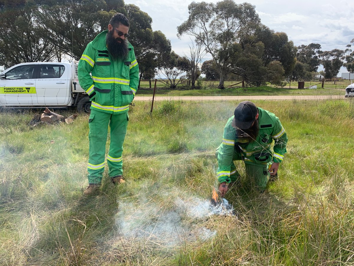 FFMVic's tweet photo. The Djaara Cultural burn at #TangTangSwamp, near #Dingee, is progressing well. This burn was nominated and being led by Djaara, on Djaara Country, with support from our crews. More info at: https://t.co/ag3nlsm9EM #FFMVic https://t.co/eanI6ZlP7K