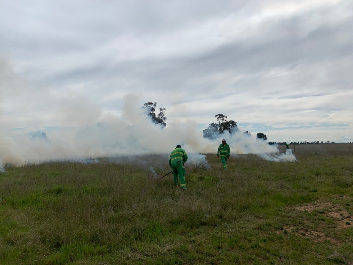 FFMVic's tweet photo. The Djaara Cultural burn at #TangTangSwamp, near #Dingee, is progressing well. This burn was nominated and being led by Djaara, on Djaara Country, with support from our crews. More info at: https://t.co/ag3nlsm9EM #FFMVic https://t.co/eanI6ZlP7K