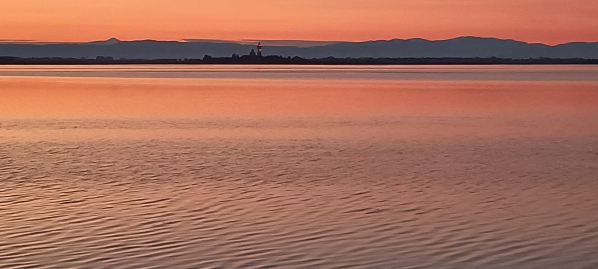 .@Italy_global - #isola di #GRADO #island - #buongiorno #GoodMorming #GutenTag #BuenoDìas - Oggi alle 6.15 - spettacolari colori in #laguna con sfondo l'isola-#santuario di #Barbana - @mariacr28250504 @giorgiobigi1 @marina52182 @farfallabra @srmcarla @SuttoraM @FlipRuth