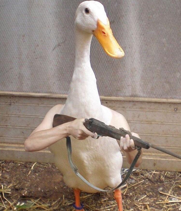 NftBioweapon's tweet photo. #volunteers join us every day π¦π₯·π₯
#NFTs #NFT #NFTCommumity #NFTProject #NFTforUkraine #Ukraine #StandWithUkraine #duck https://t.co/lp6nWztXeh