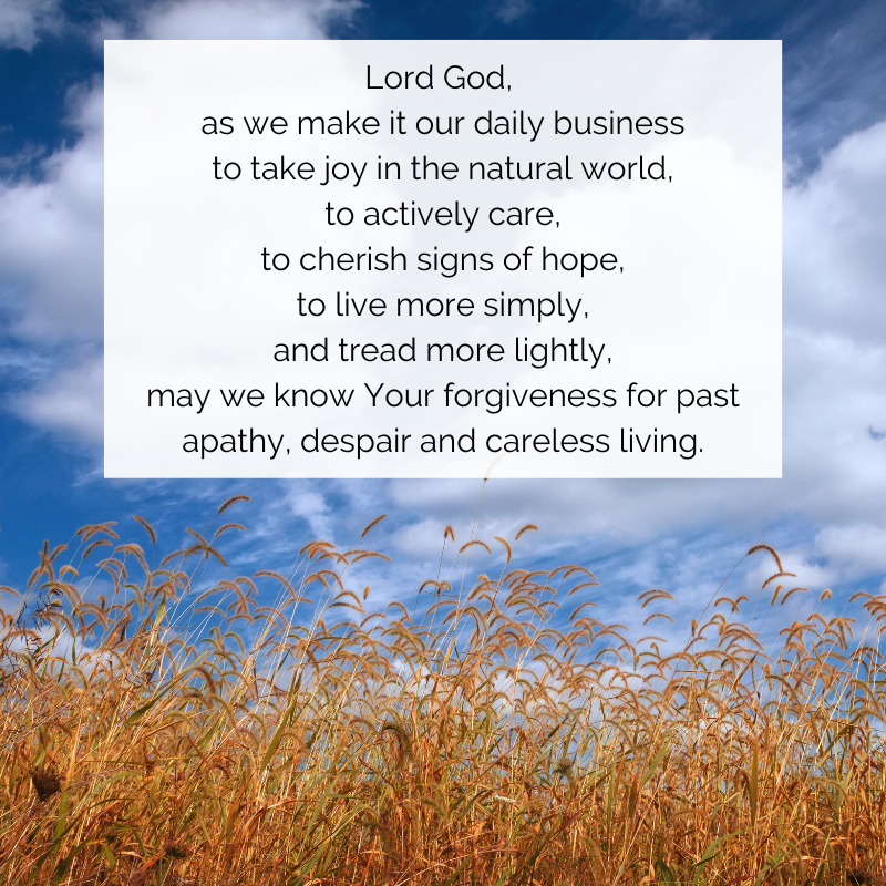 churchscotland's tweet photo. #GoodNewsTues #God #Prayer #CreationTime https://t.co/pW46liDHie