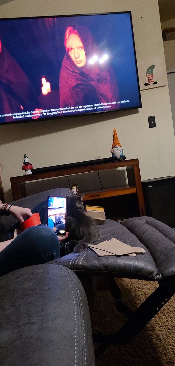 Mars_mallow243's tweet photo. Yo @SamandColby not only have I made my own mom a fan, but her 4 month old kitten likes your video too lol https://t.co/CvD0vB23jP