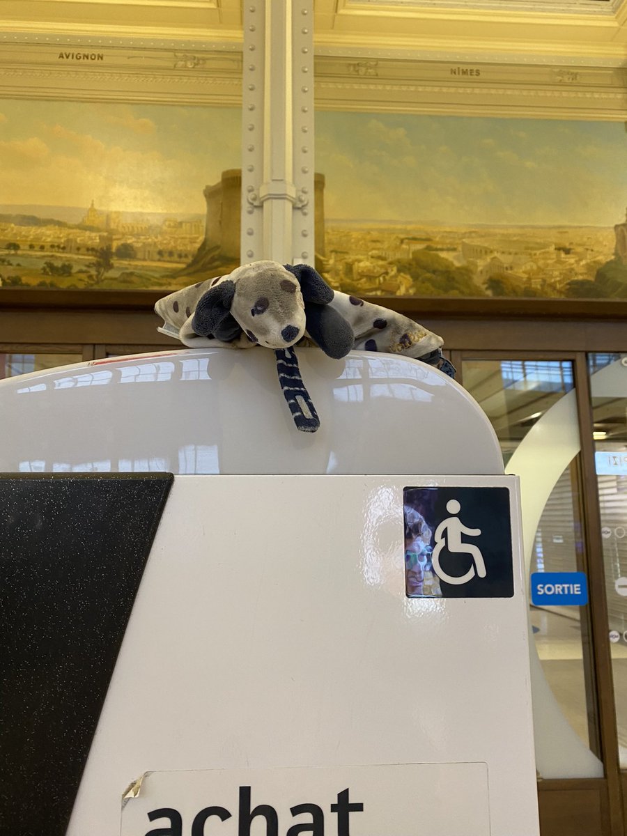 Doudou perdu Gare de Lyon. Je l’ai laissé entre les hall 1 et 2. Faites tourner au cas où :) Merci