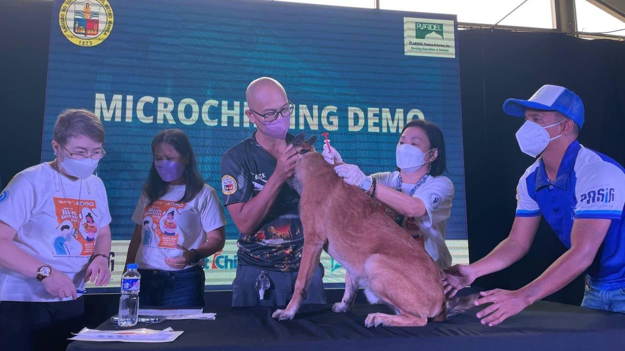 Manila Bulletin News on Twitter "PASIG CITY'S FREE PET MICROCHIPPING