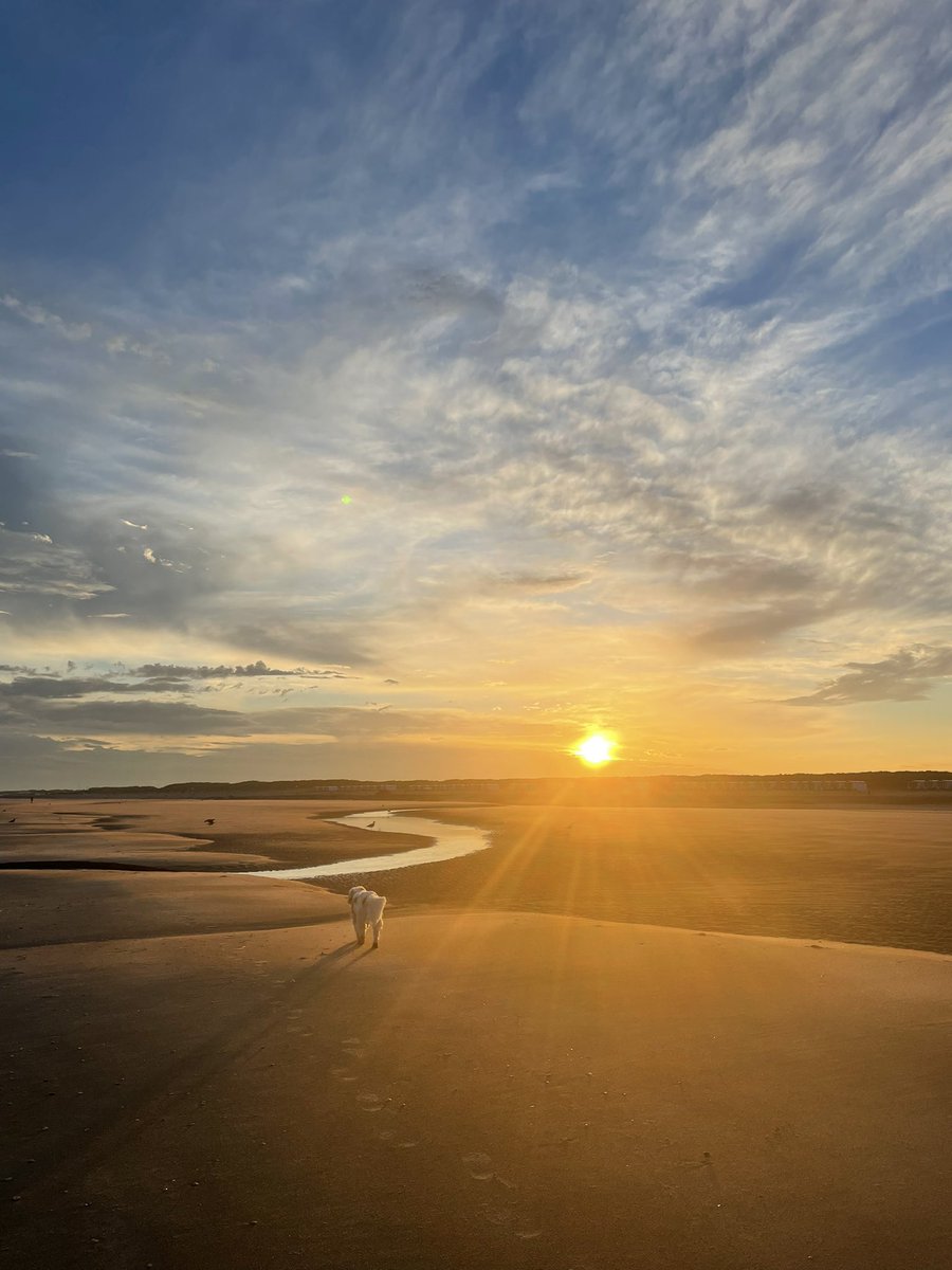 Goedemorgen. Teamherfst. #Hoekvanholland <a href="/Hoek_v_Holland/">Hoek-van-Holland</a> <a href="/HoekvanHollandd/">Hoek van Holland!</a>
