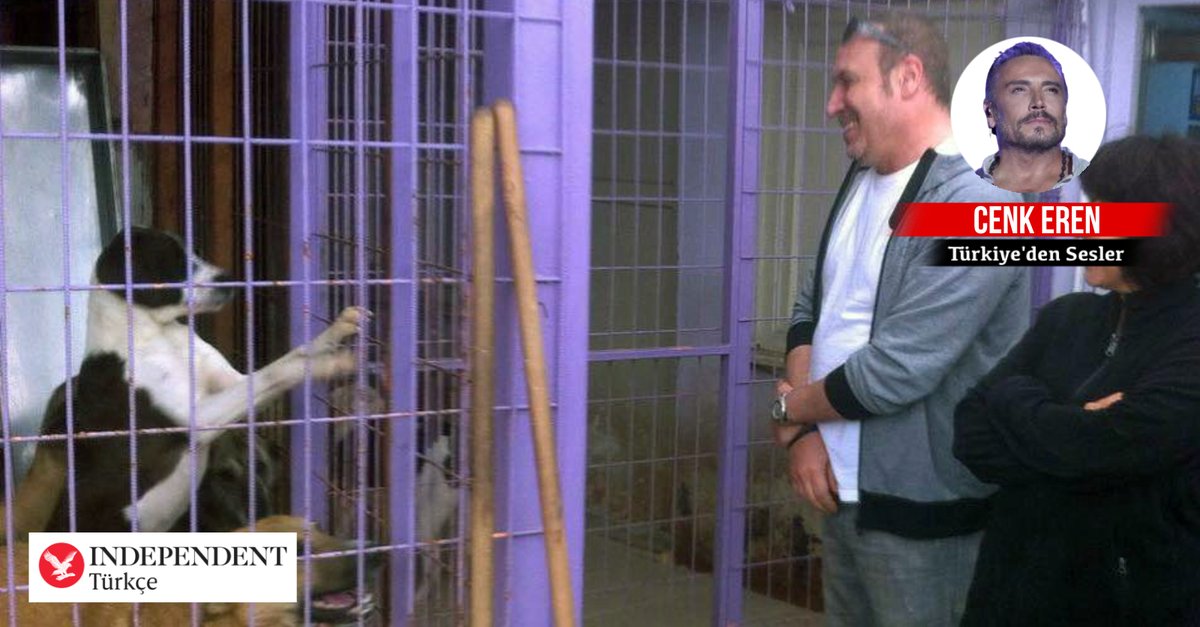 TurkishIndy's tweet photo. Cenk Eren yazdı: 

🐶 Sokaklarımız hem çocuklarımız hem de hayvanlarımız için güvenli olmalı

🐕Onları barınaklara kapatamazsınız, onlar insanlarla yaşamaya alışmış dostlarımızdır

🐶 Belki sokaklarda beraberce yaşamak medeniyettir, bizim kültürümüzdür...

https://t.co/MP09Dh7XT4 https://t.co/nCH5ekc2cp