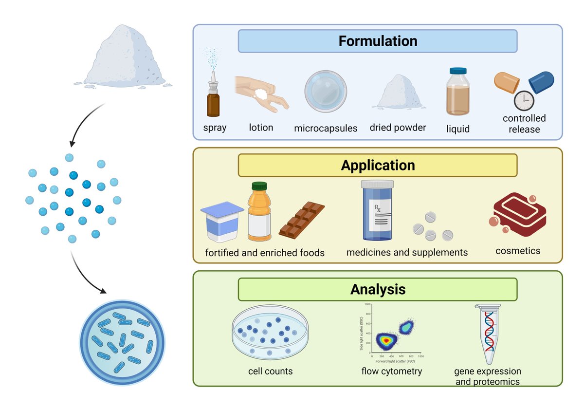 Foods_MDPI's tweet photo. #mdpifoods #Review_Collection📝
Recommend the Review "Current Trends in the #Production of #Probiotic #Formulations" by Jakub Kiepś and Radosław Dembczyński.
Link: https://t.co/LxZOfk6Wp8
#lactic acid bacteria #spray_drying #freeze_drying #viability #shelf-life #protectants https://t.co/ITQYK0E8eg