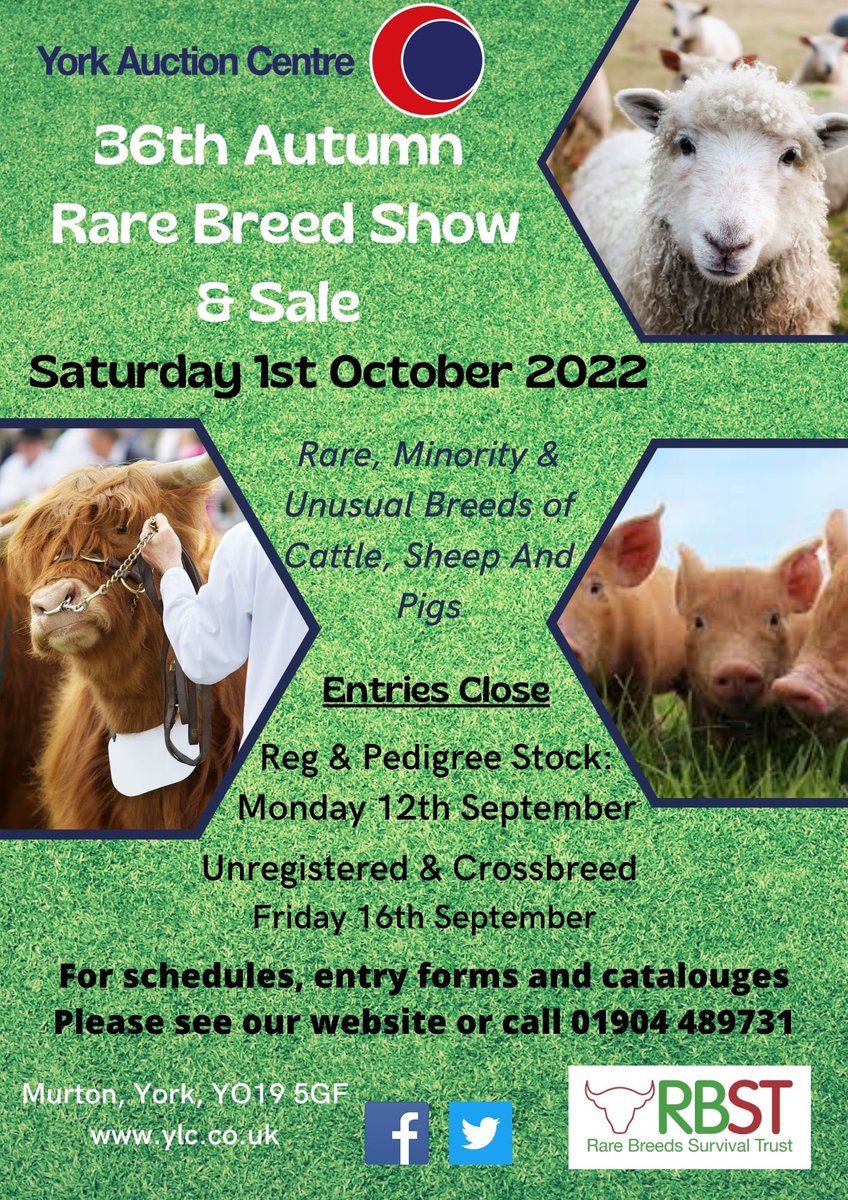 COMING UP - AUTUMN RARE BREED SHOW &amp;SALE
SATURDAY 1st OCTOBER 2022
****Now taking entries****
For further information and entry forms please see our website 
ylc.co.uk/rare-breeds/
or call us on ☎️01904 489731

<a href="/RBSTrarebreeds/">RBST</a> #rarebreeds #pedigree #crossbreed #smallholder