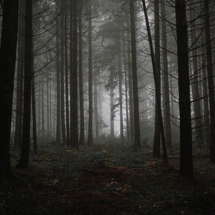 ✦ 𝐅𝐑𝐎𝐌 𝐓𝐇𝐄 𝐃𝐄𝐏𝐓𝐇𝐒...

        ✦ Skull headed demon.

        ✦ Wondering Adventurer, hired hand.

        ✦ N/SFW rp, can be story focused!
 
        ✦ MVRP/Fantasy RP!
  
        ✦ A bit selective! 

        ✦ Likes and RTs are appreciated!