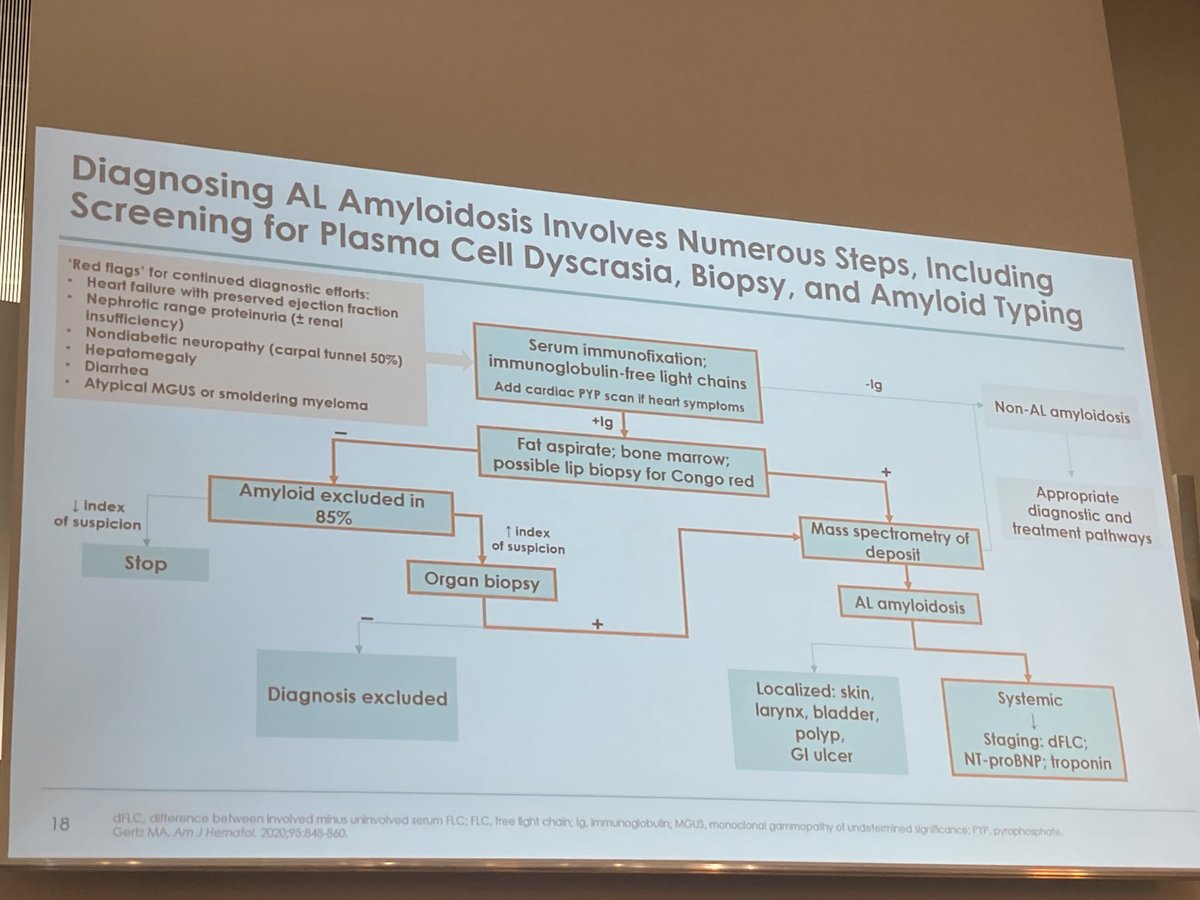 Raj Chakraborty (@rajshekharucms) on Twitter photo Great slide on diagnostic algorithm for suspected AL #Amyloidosis #ISA2022 Great slide on diagnostic algorithm for suspected AL #Amyloidosis #ISA2022