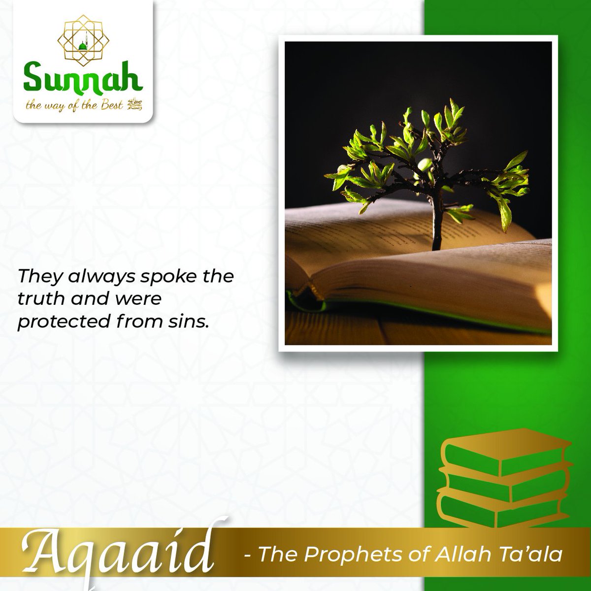 TheWayOfTheBest's tweet photo. The Prophets of Allah always spoke to truth and were protected from sin.
#Aqaaid
The #Prophets of #Allah Ta'ala https://t.co/SHsFjO68RI