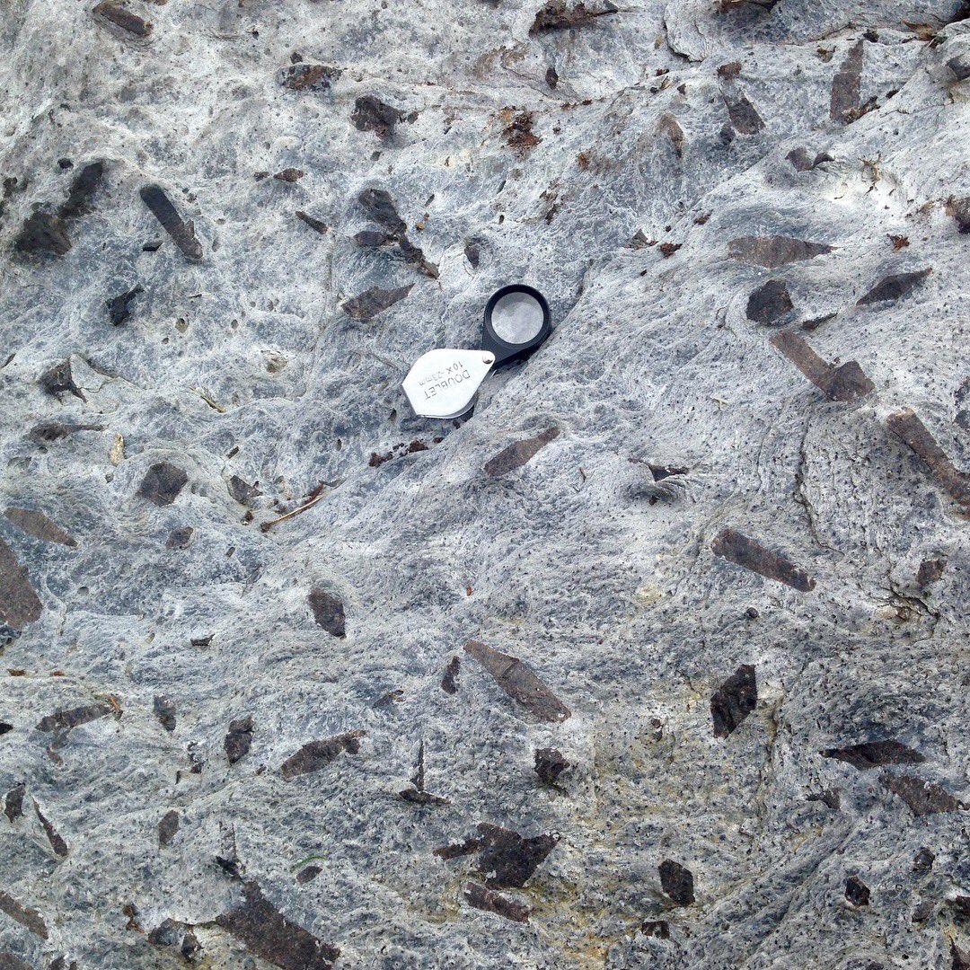 At risk of being lambasted by all my zircon-mad colleagues, team #staurolite, because who doesn’t love a mineral that likes to say “f-you” to systematic phase equilibria?!