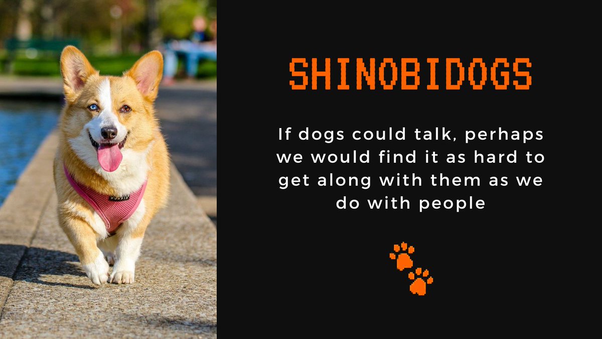 #naruto #Shinobi #shelterdogs #DogLover #pets #adopt #NFTCommunity #NFTProjects #NFT #twothousandfriends