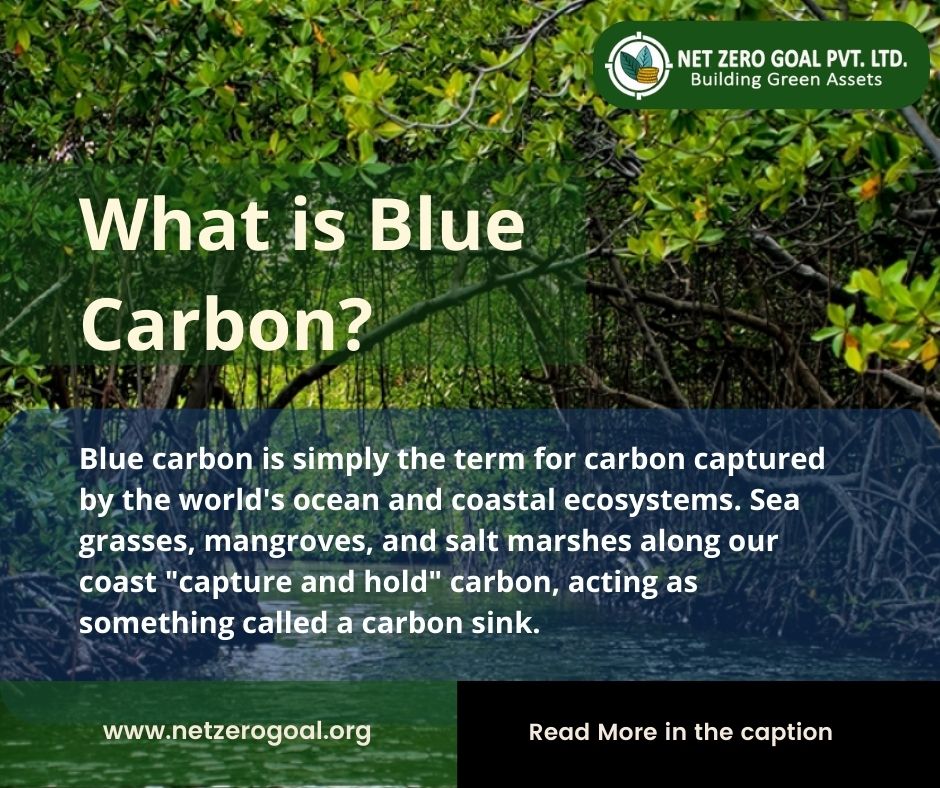 NZG_pvtltd's tweet image. Read more about Blue Carbon and the benefits of Mangroves on oceanservice.noaa.gov/facts/bluecarb…

#netzerogoal  #climate #GlobalWarming #SaveTheWilds #biodiversityclimatescience #deforestation #Earth #Ecosystem #biodiversity #Sustainability