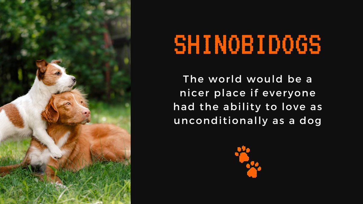 #naruto #Shinobi #shelterdogs #DogLover #pets #adopt #NFTCommunity #NFTProjects #NFT #twothousandfriends