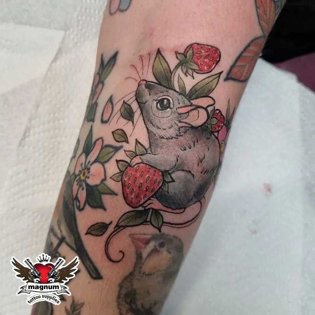 MagnumTattoo's tweet photo. Adorable mouse tattoo done using #magnumtattoosupplies by Charlotte Ann Harris β€οΈ
.
.
#mousetattoo #animaltattoo #neotradtattoo #neotraditional #neotrad #strawberrytattoo #cutetattoo #animaltattoos #ladytattooers #essextattoo
Instagram: charlotteannharris https://t.co/qSu75zyliX