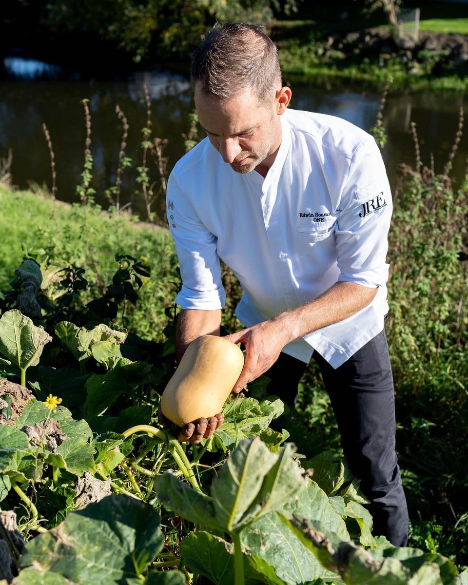 RestaurantOne's tweet image. NAZOMEREN in de moestuin. 🧡

#pompoentijd #blueskies #indiansummer