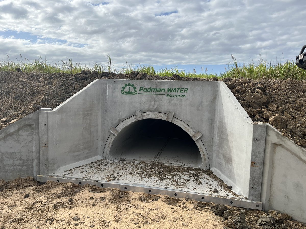 Shawn Padman tweet media