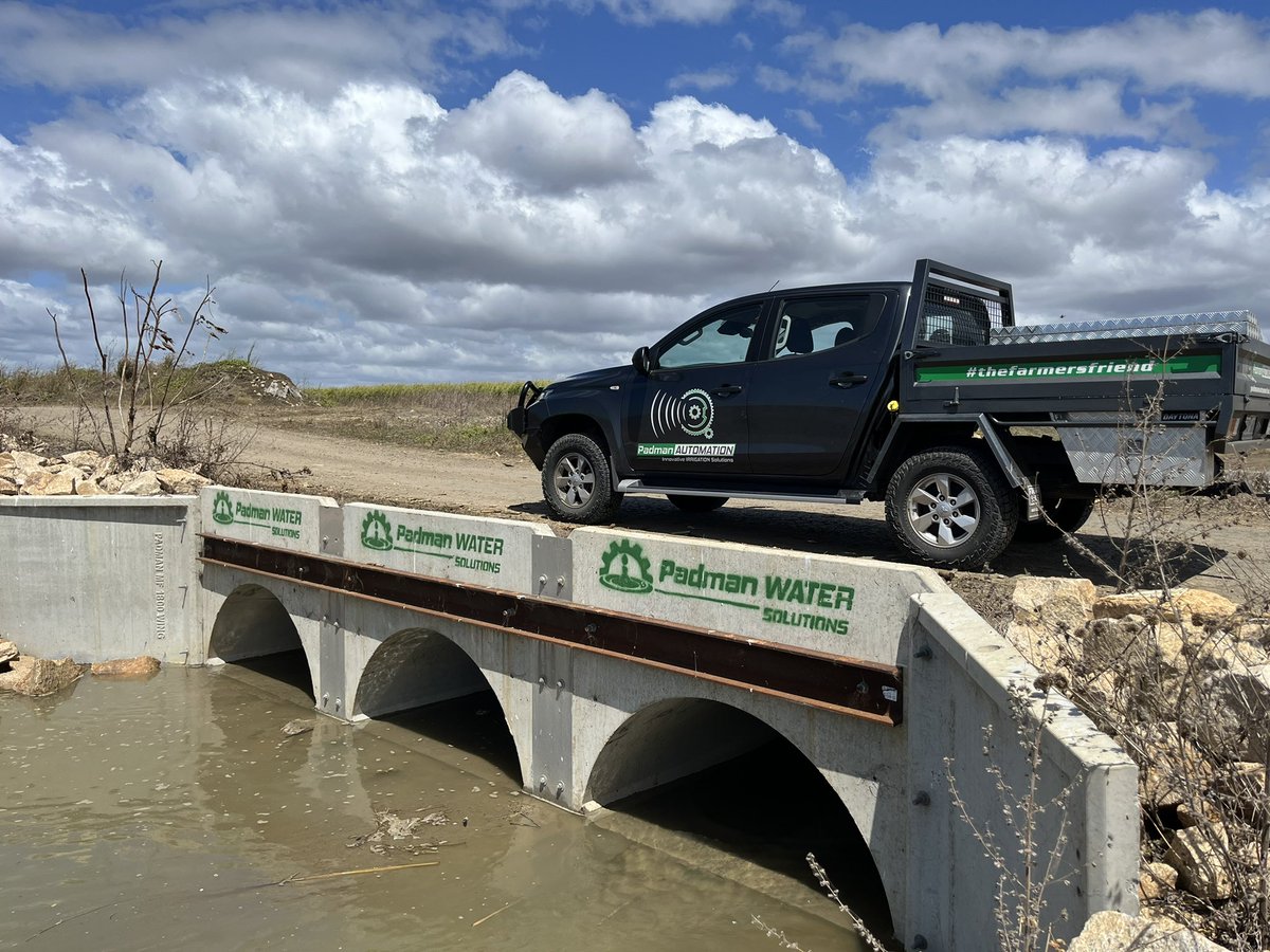 Shawn Padman tweet media