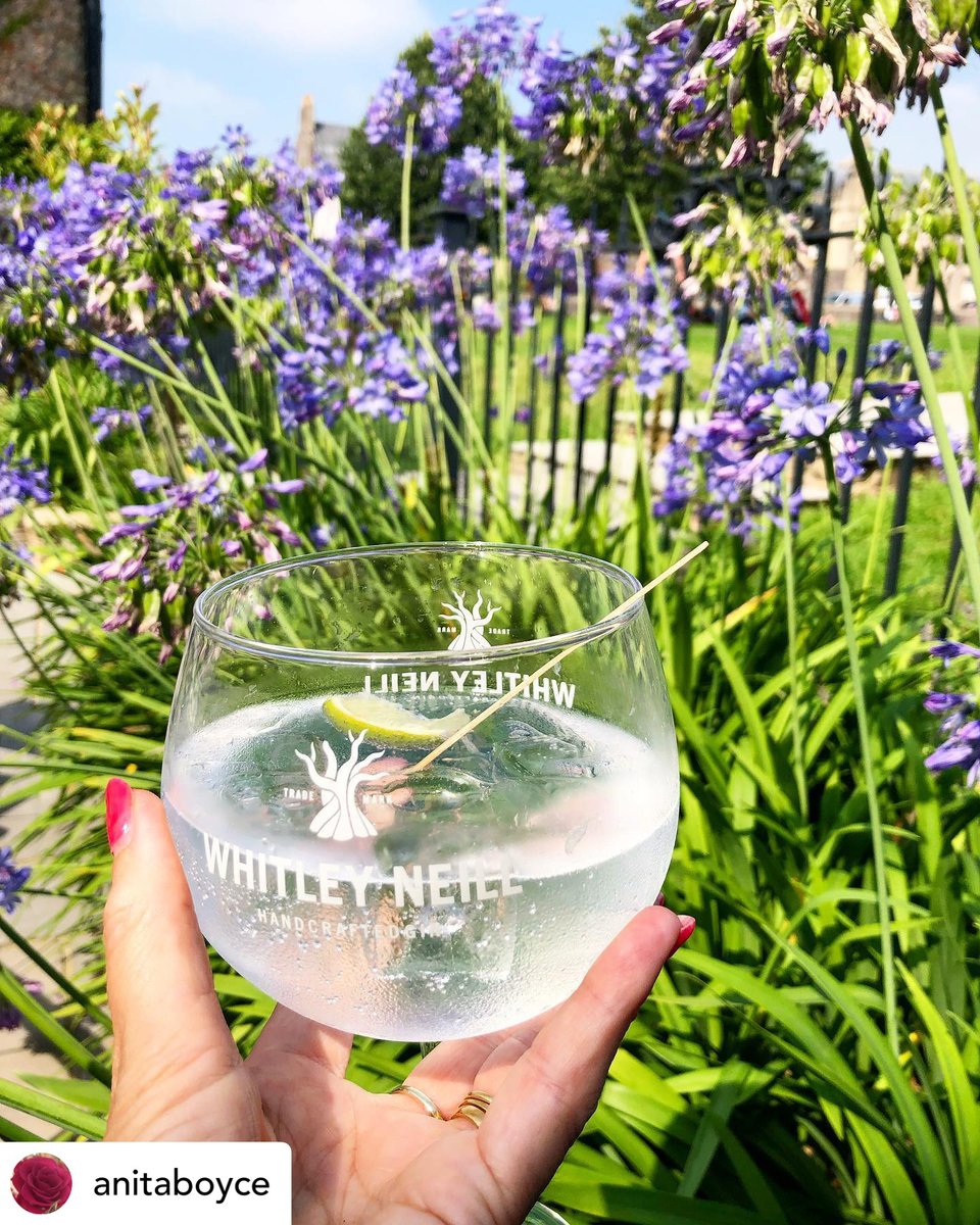 What a great photo from the Terrace😍 

Make sure you pop by for a drink sometime, whether it be on the terrace or, inside at our comfortable lounge or bar🍸 

📸 <a href="/anitabo/">Anita</a>