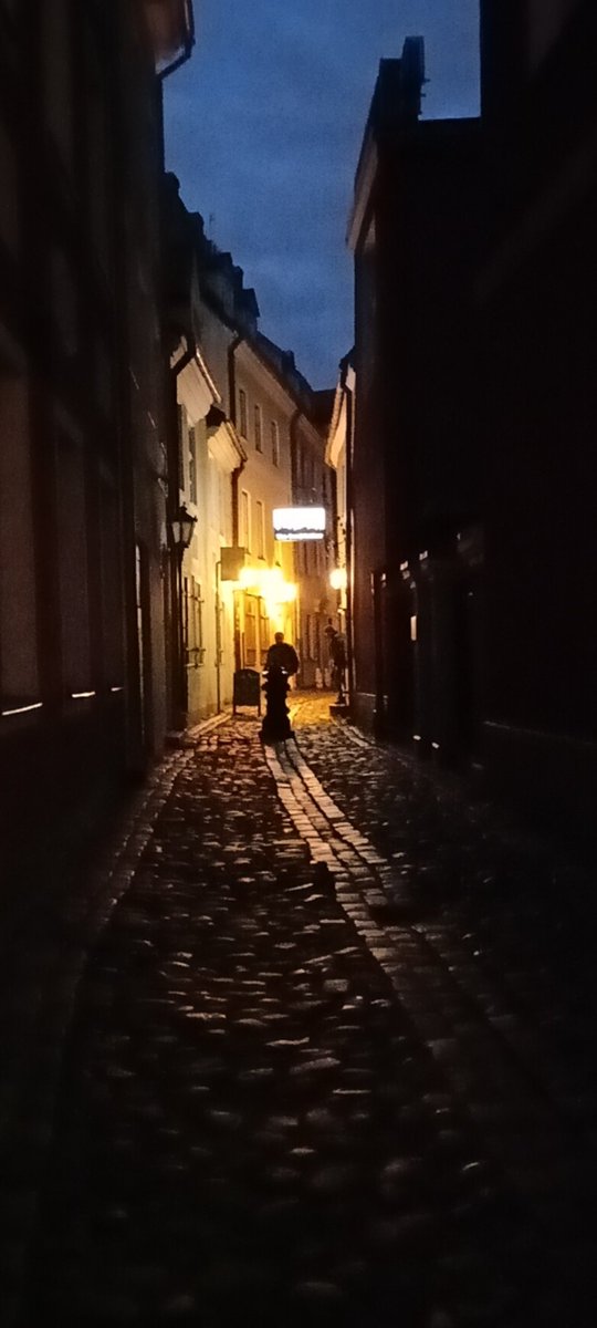 TerryJones0001's tweet image. The myriad of tiny back alleys &amp;amp; walkways of beautiful #RigaOldTown 👀🙂👍👇