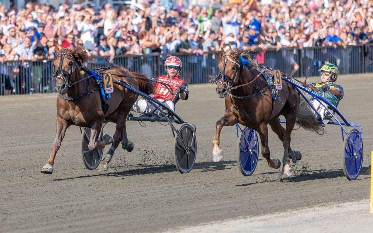 pohjoinenravia's tweet photo. Hyvää Suomenhevosen päivää kaikille. 🇫🇮🐴

📷 Teemu Kangas

#pohjoinenravialue #ravit #raviurheilu https://t.co/YY8a5GTf5h