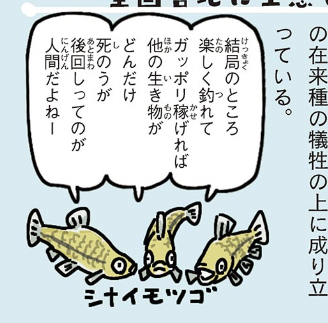 結局のところ一番厄介なのは外来種より、自分のことしか考えてない人間だということがとてもよくわかる動画。
https://t.co/G848ZBdGb8
#外来いきもの図鑑 https://t.co/KA9evBy0Et 