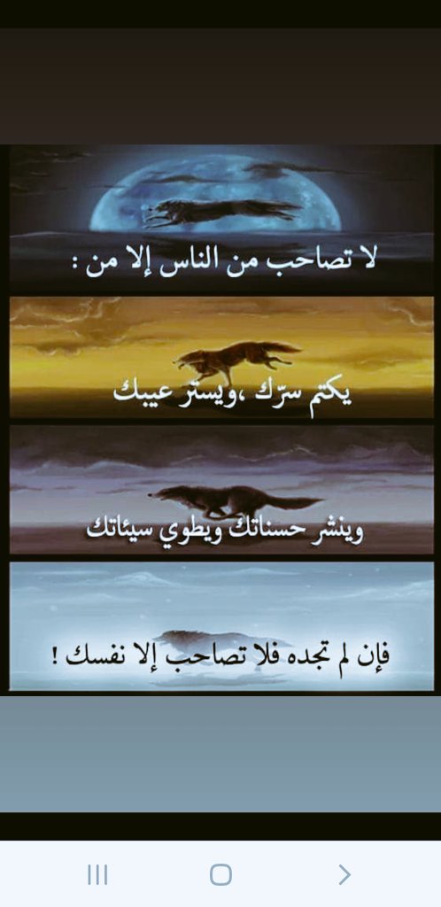 mortada58's tweet photo. حقيقه https://t.co/yuJBL53q6z