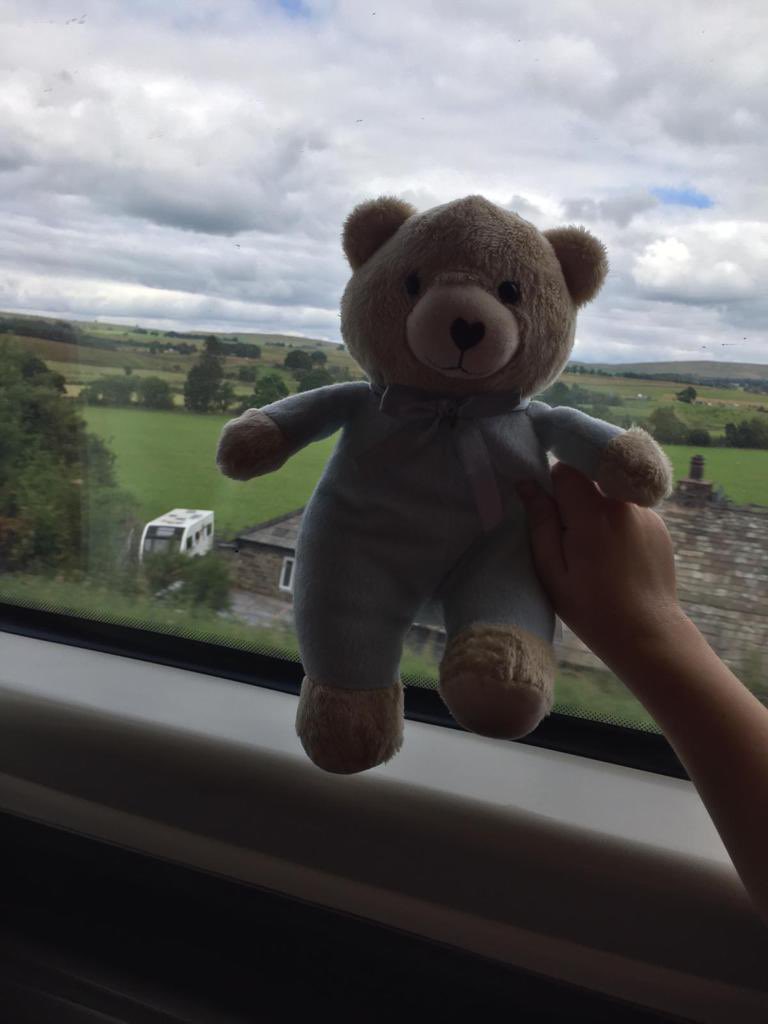 He had such a good holiday in Turkey he decided to stay on the plane when it arrived @Exeter_Airport late last night. But, Sam the bear is so missed by his owner- my nephew-he’d love if he could come home. @TUIUK can you help locate a lost bear please.
