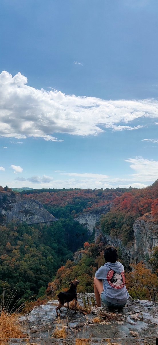 Mje_LK's tweet photo. Un #instant où la #Nature te rappelle que tu es ridiculement petit(e) dans ce monde.
Coucou @voyageoccitanie
#Autoire #Lot #Occitanie #ValléeDordogne #VoyageOccitanie
#Paysage #Landscape #Landschaft
#Montagne #Falaise #Forêt #Arbre
#Mountain #Berg #Forest #Wald
#Chien #Dog #Hund https://t.co/vwTTEwAbUs
