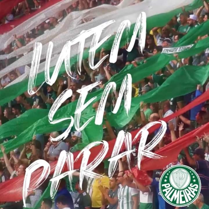 🎙️O que acham? #sep #palmeiras #pedrolima #avantipalestra