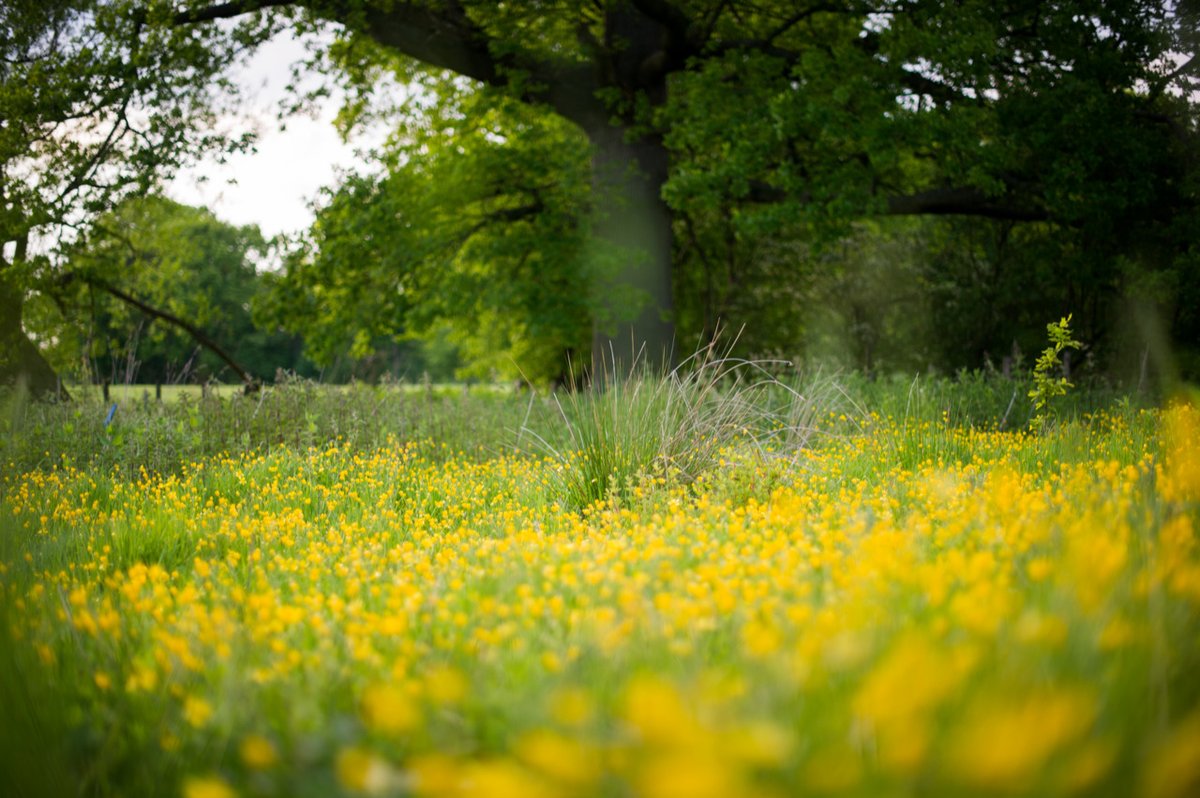 We're celebrating #OrganicSeptember by #SoilAssociation with a photo from the farm. Theme for this year is 'Nature would choose organic' and we couldn't agree more. #organicwine #organicfarming