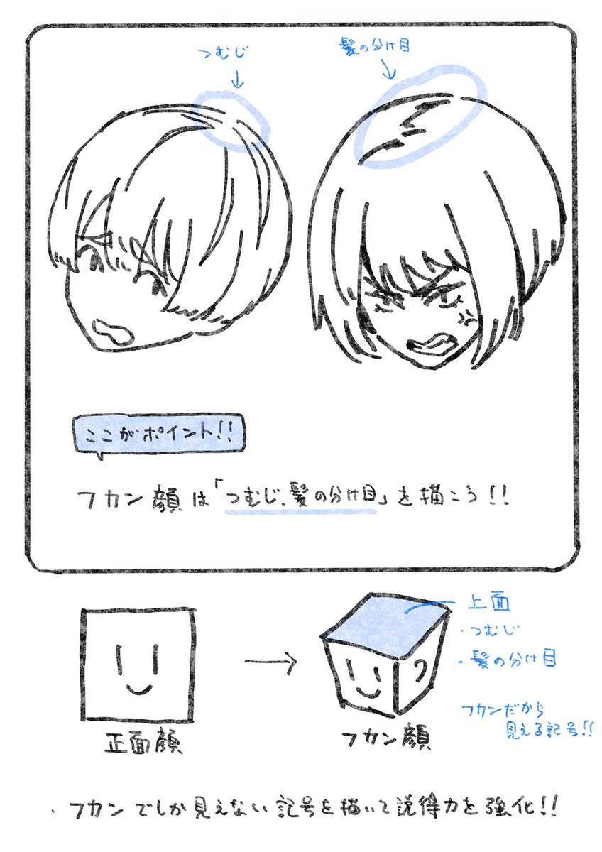 フカン顔に説得力を持たせる知識。(1/2)

フカンでしか見えない部分を描いてあげれば大丈夫です。 