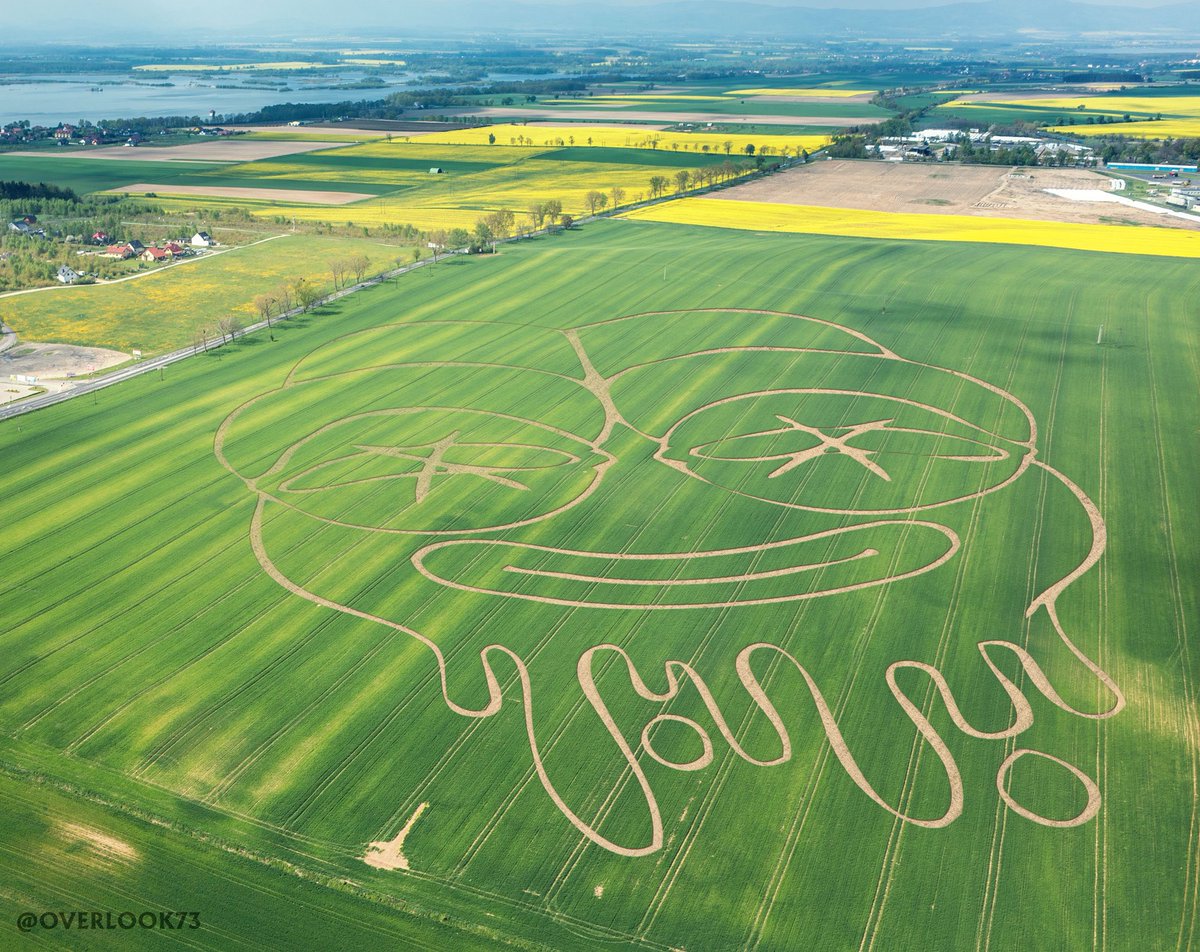 OVERLOOK (@overlook73) on Twitter photo I WANT TO BELIEVE!
(real sign from the universe)
#RAYC #ApepesInRealLife <a href="/RareApepeYC/">Rare Apepes (Old Account)</a> #cropcircles #nftworld I WANT TO BELIEVE!
(real sign from the universe)
#RAYC #ApepesInRealLife <a href="/RareApepeYC/">Rare Apepes (Old Account)</a> #cropcircles #nftworld