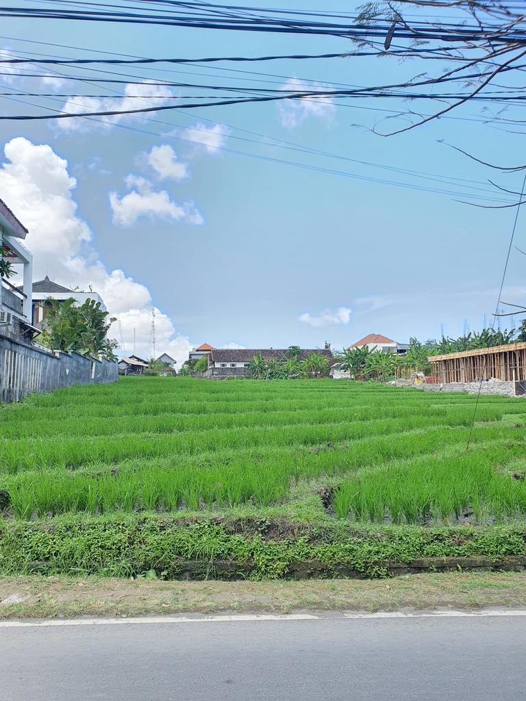 4urFortune's tweet photo. #Vlogathon Day #22 Today is the first real day in our new country Indonesia on the beatiful island of Bali, let's go explore π§
#Vtuber #ENVtuber https://t.co/xFNYHBlHmY