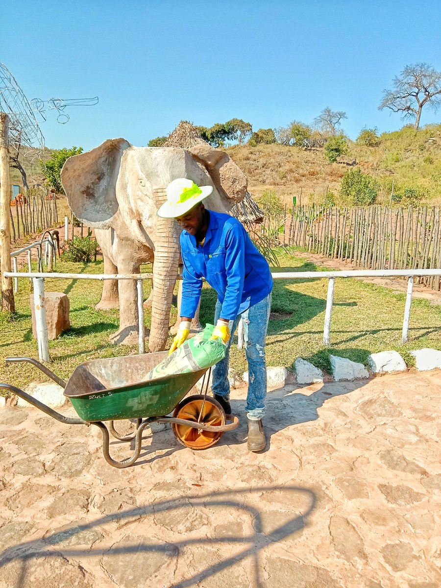 Trevor_sidogi's tweet photo. I won't giveup DZULIECO-PARK will grow and be registered🌳🍁🌱🍀🌷🌸 https://t.co/s7LGJLFZqJ