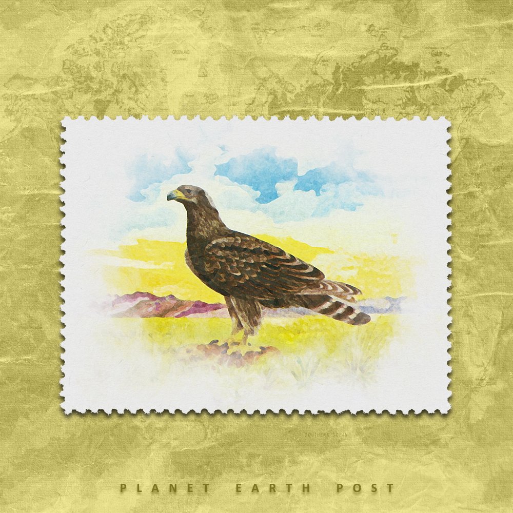 postman_alien's tweet photo. Check out this item on OpenSea 🦅
https://t.co/3y2cgpxXvH
#nftpep  #nftcollector #nftcommunity #nftcollectors  #postagestamp #alienpostman #planetearthpost #pep #pEp https://t.co/H3WOU8RbUV