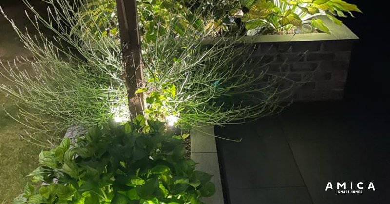 AmicaSmartHomes's tweet photo. Interior design extends to the garden with smart outdoor lighting. Creating a design feature of planting and adding ambience to your outdoor spaces is easy with smart lighting. #outdoorlighting #smartlighting #smarthomeexperts